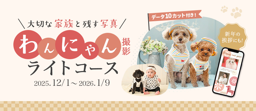 わんにゃんライトコース