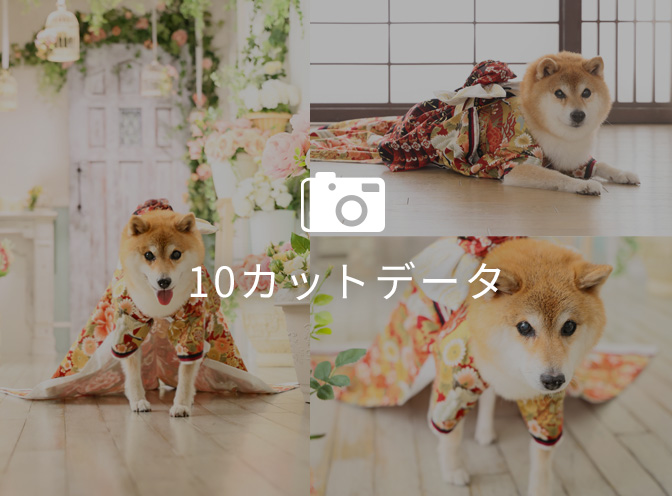 撮影データ10カット