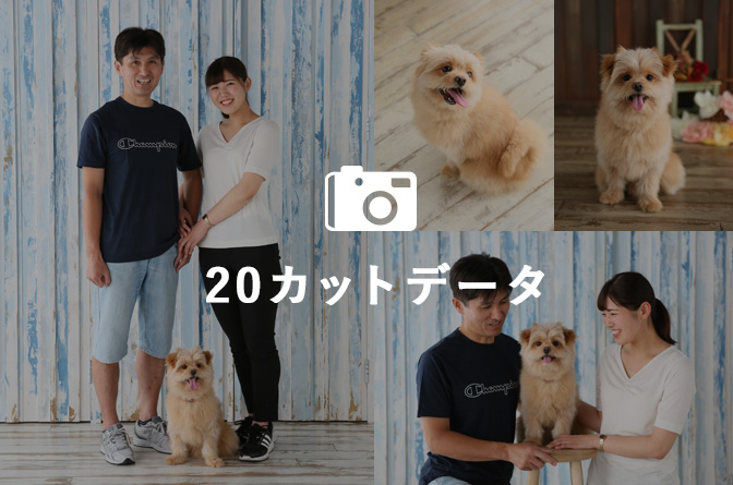 撮影データ20カット